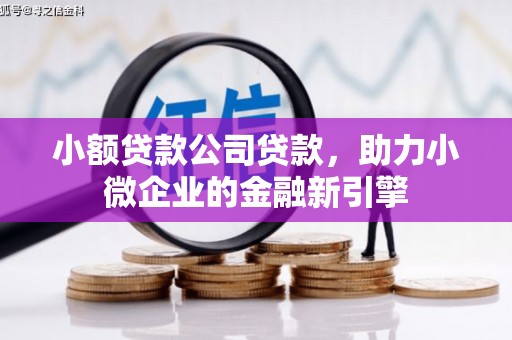 二林小额贷款公司贷款，助力小微企业的金融新引擎