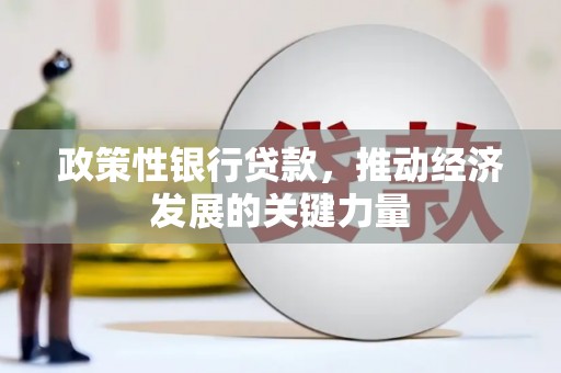 二林政策性银行贷款，推动经济发展的关键力量