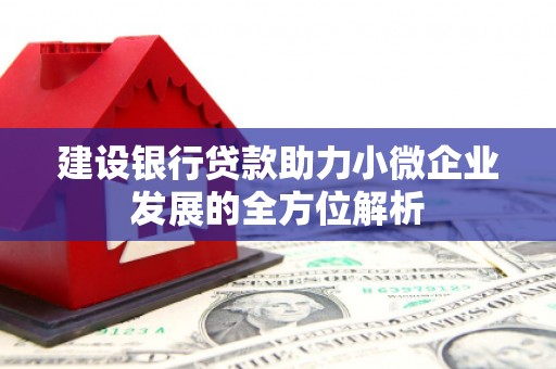 二林建设银行贷款助力小微企业发展的全方位解析