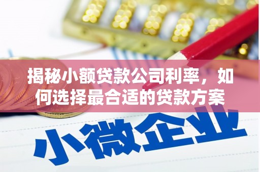 二林揭秘小额贷款公司利率，如何选择最合适的贷款方案