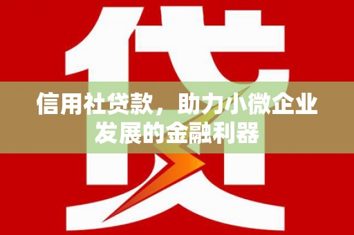 二林信用社贷款，助力小微企业发展的金融利器