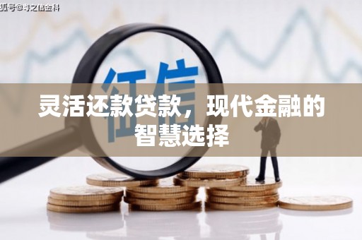 二林灵活还款贷款，现代金融的智慧选择