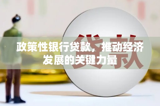 二林政策性银行贷款，推动经济发展的关键力量