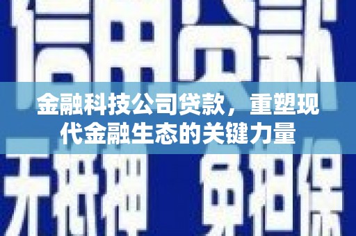 二林金融科技公司贷款，重塑现代金融生态的关键力量