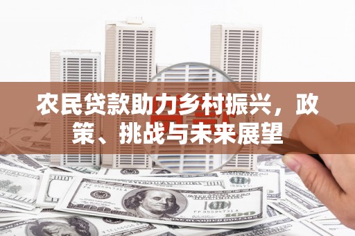 二林农民贷款助力乡村振兴，政策、挑战与未来展望
