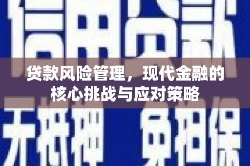 二林贷款风险管理，现代金融的核心挑战与应对策略