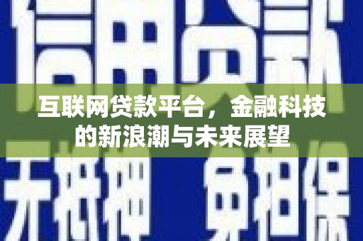 二林互联网贷款平台，金融科技的新浪潮与未来展望