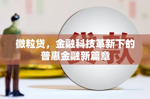 二林微粒贷，金融科技革新下的普惠金融新篇章