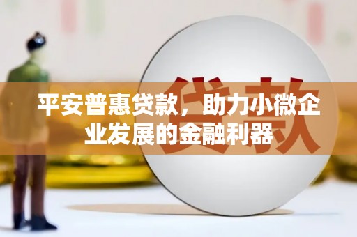 二林平安普惠贷款，助力小微企业发展的金融利器