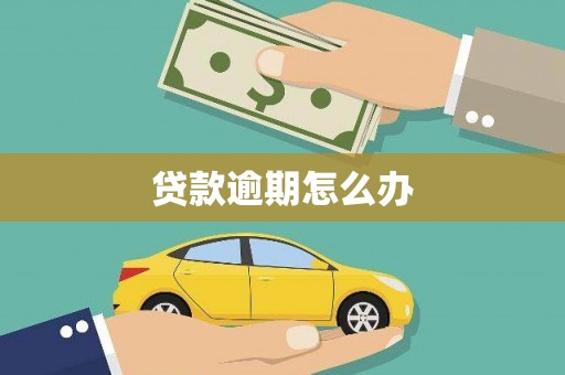 二林贷款逾期怎么办