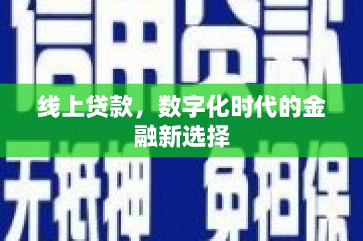 二林线上贷款，数字化时代的金融新选择