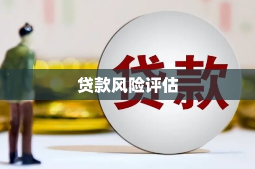 二林贷款风险评估