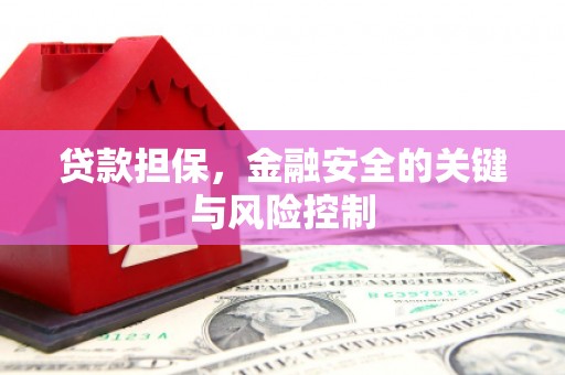 二林贷款担保，金融安全的关键与风险控制