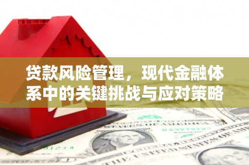 二林贷款风险管理，现代金融体系中的关键挑战与应对策略