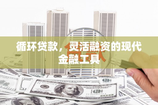 二林循环贷款，灵活融资的现代金融工具