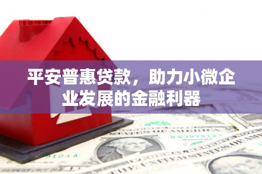 二林平安普惠贷款，助力小微企业发展的金融利器