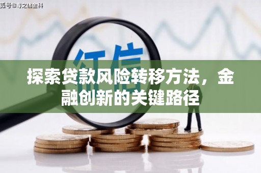 二林探索贷款风险转移方法，金融创新的关键路径