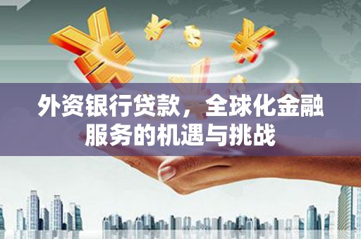 二林外资银行贷款，全球化金融服务的机遇与挑战