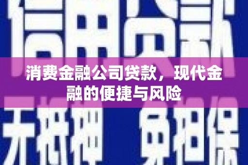 二林消费金融公司贷款，现代金融的便捷与风险