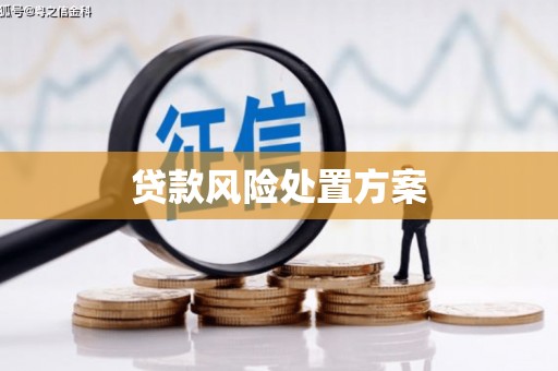 二林贷款风险处置方案