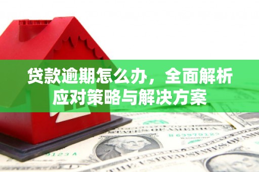 二林贷款逾期怎么办，全面解析应对策略与解决方案