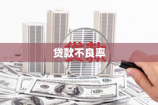 二林贷款不良率