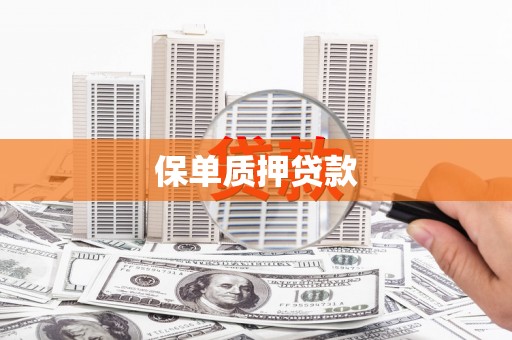 二林保单质押贷款