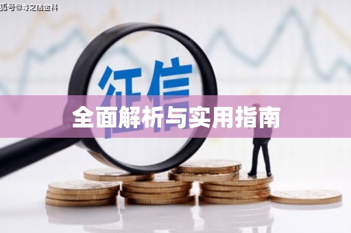 二林全面解析与实用指南