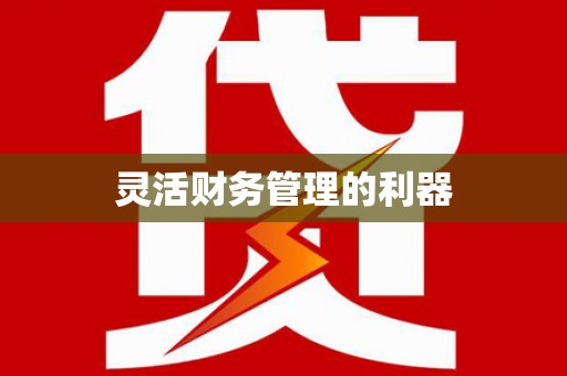 二林灵活财务管理的利器
