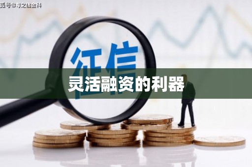 二林灵活融资的利器