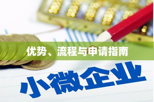 二林优势、流程与申请指南