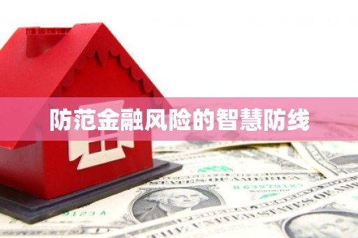二林防范金融风险的智慧防线
