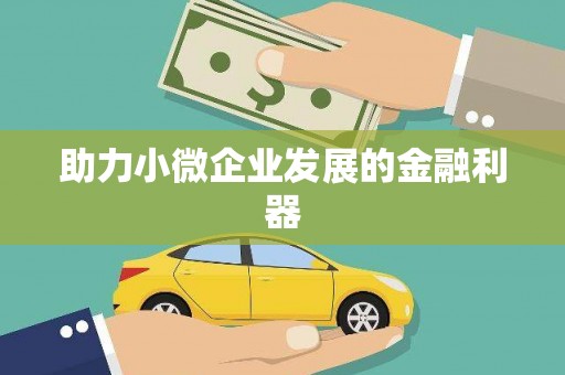 二林助力小微企业发展的金融利器