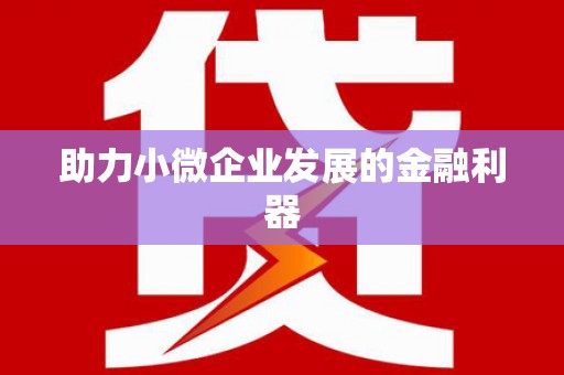 二林助力小微企业发展的金融利器