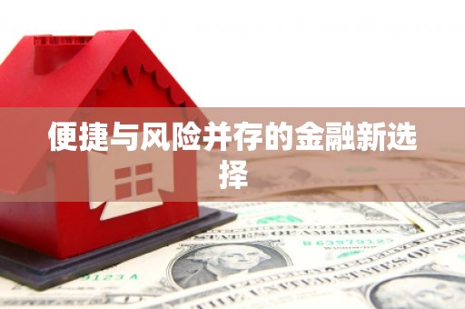 二林便捷与风险并存的金融新选择