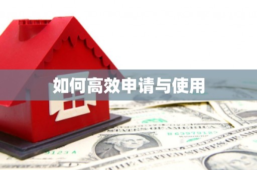二林如何高效申请与使用