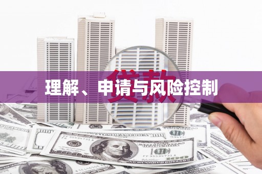 二林理解、申请与风险控制