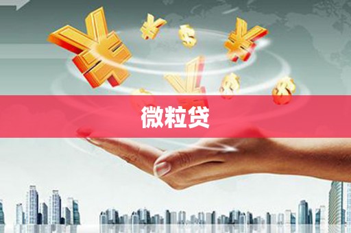 二林微粒贷