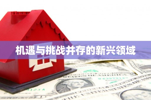 二林机遇与挑战并存的新兴领域