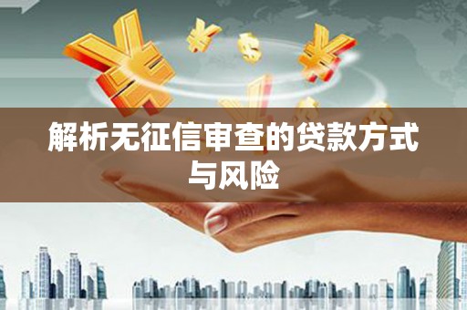 二林解析无征信审查的贷款方式与风险