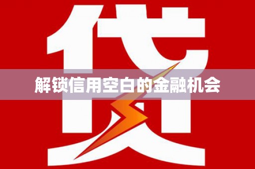 二林解锁信用空白的金融机会