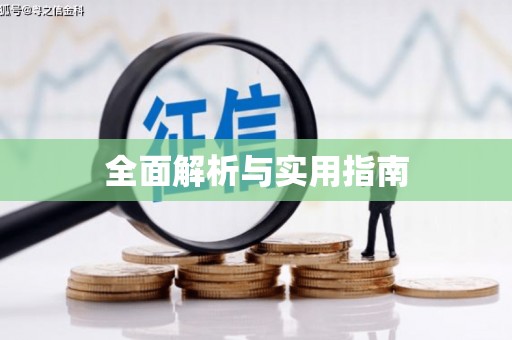 二林全面解析与实用指南