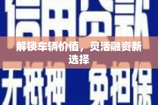 二林解锁车辆价值，灵活融资新选择