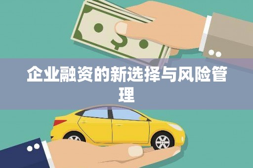 二林企业融资的新选择与风险管理