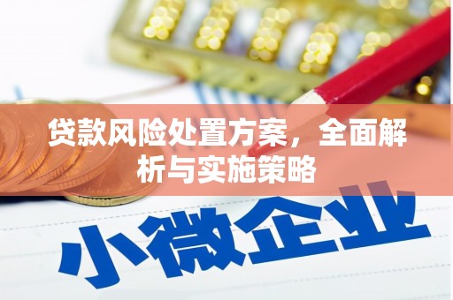 二林贷款风险处置方案，全面解析与实施策略