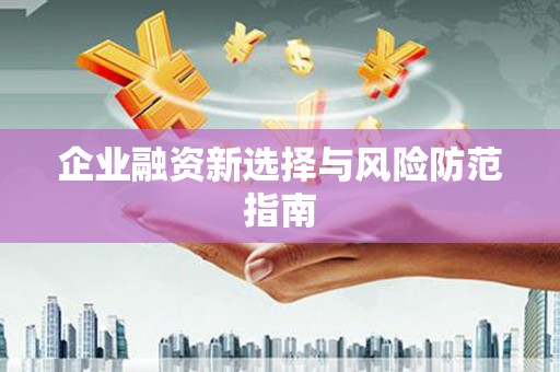 二林企业融资新选择与风险防范指南