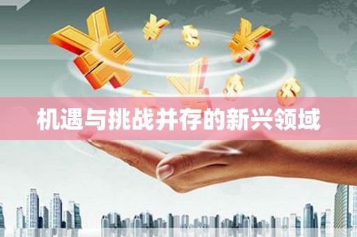 二林机遇与挑战并存的新兴领域