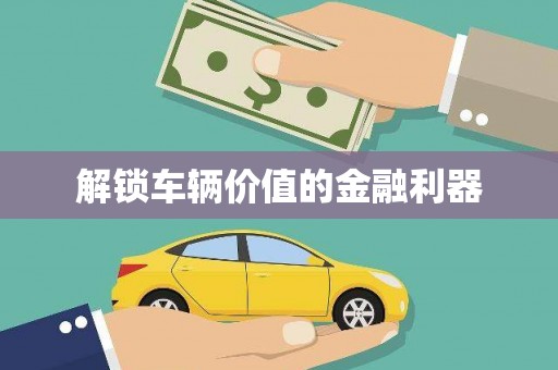 二林解锁车辆价值的金融利器