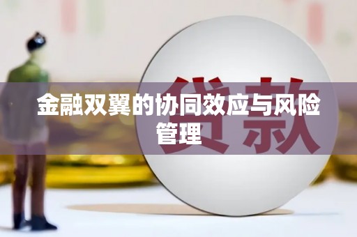 二林金融双翼的协同效应与风险管理