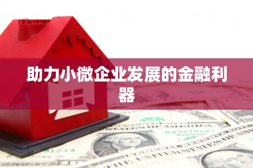 二林助力小微企业发展的金融利器